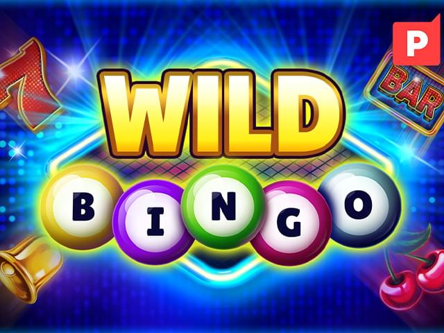 505bet Bingo Selvagem